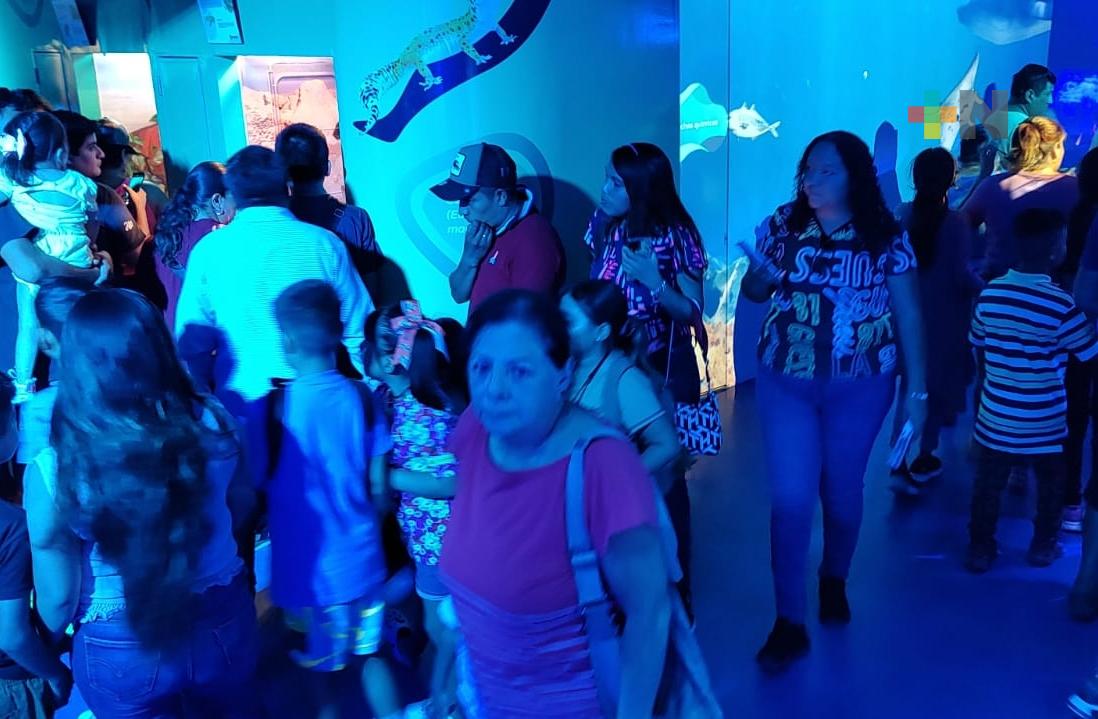 Estudiantes disfrutan visita al Aquarium del Puerto de Veracruz