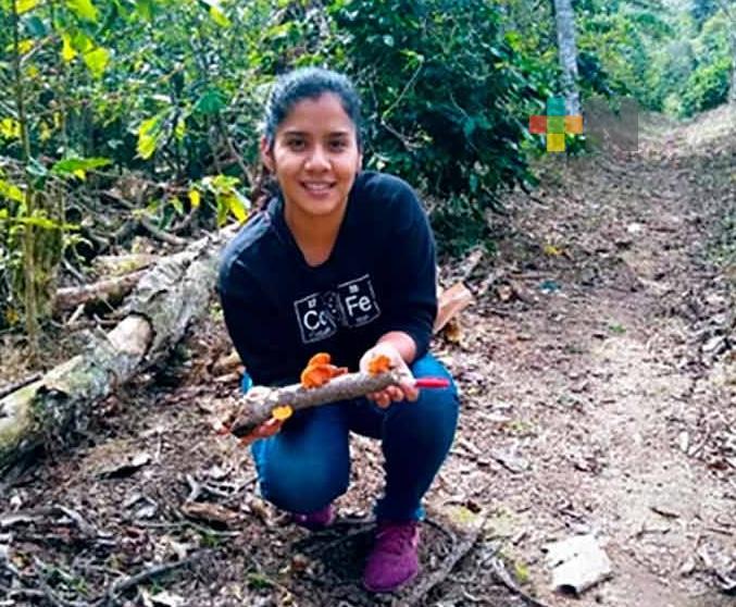 Egresada de posgrado UV estudió propiedades de hongos polyporales