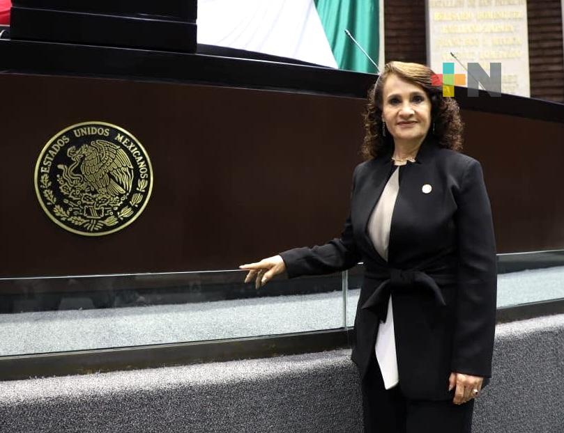 Reforma sobre pueblos y comunidades indígenas y afromexicanos, es integral: Dolores Padierna