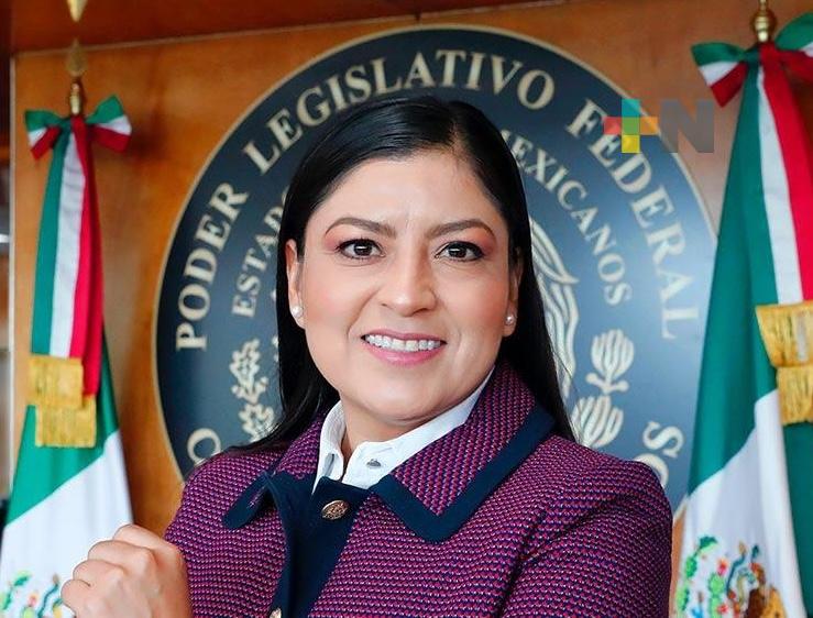 Elevar a rango constitucional los derechos de pueblos indígenas y afromexicanos saldará deuda histórica, afirma diputada
