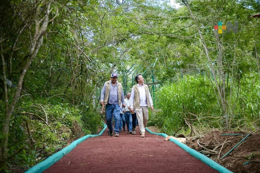 Santuario de Vida Silvestre «Naturalia» pronto abrirá sus puertas: Sedema