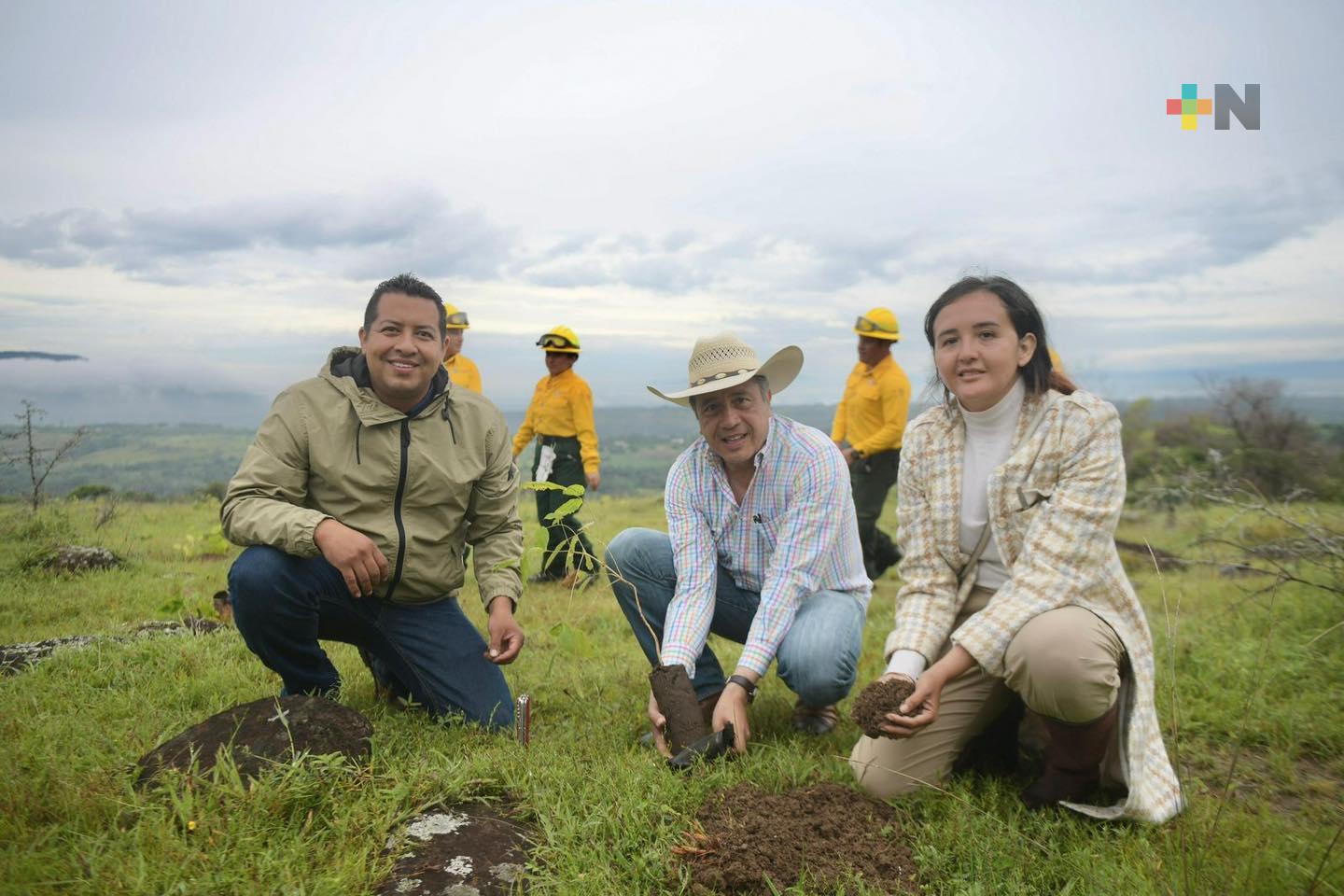 Exitosa segunda edición de «Fabriquemos Agua Reforestando»: Cuitláhuac García