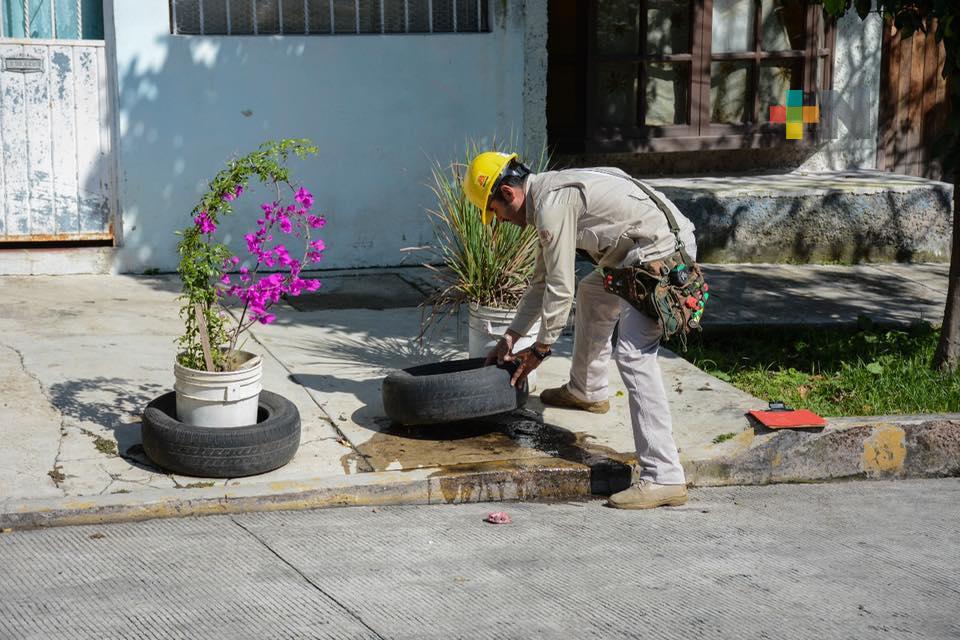 Sedema invita a participar en la semana de eliminación de criaderos del mosquito del dengue