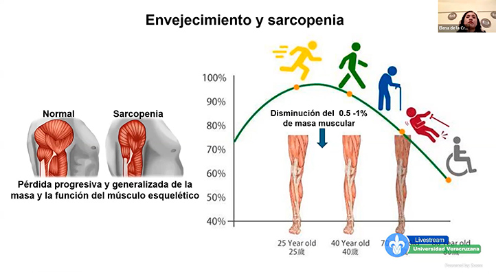 Antioxidante epicatequina, opción para quienes pierden masa muscular