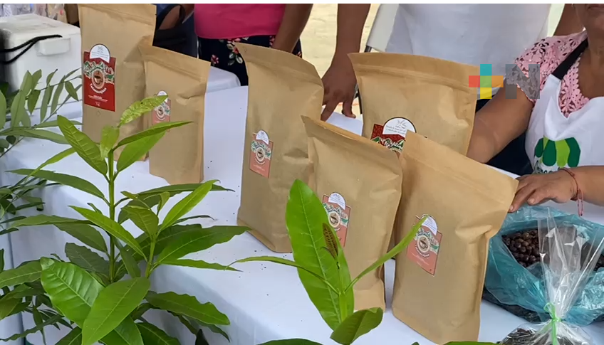 Promocionan en Tuxpan café de distintas regiones de Veracruz