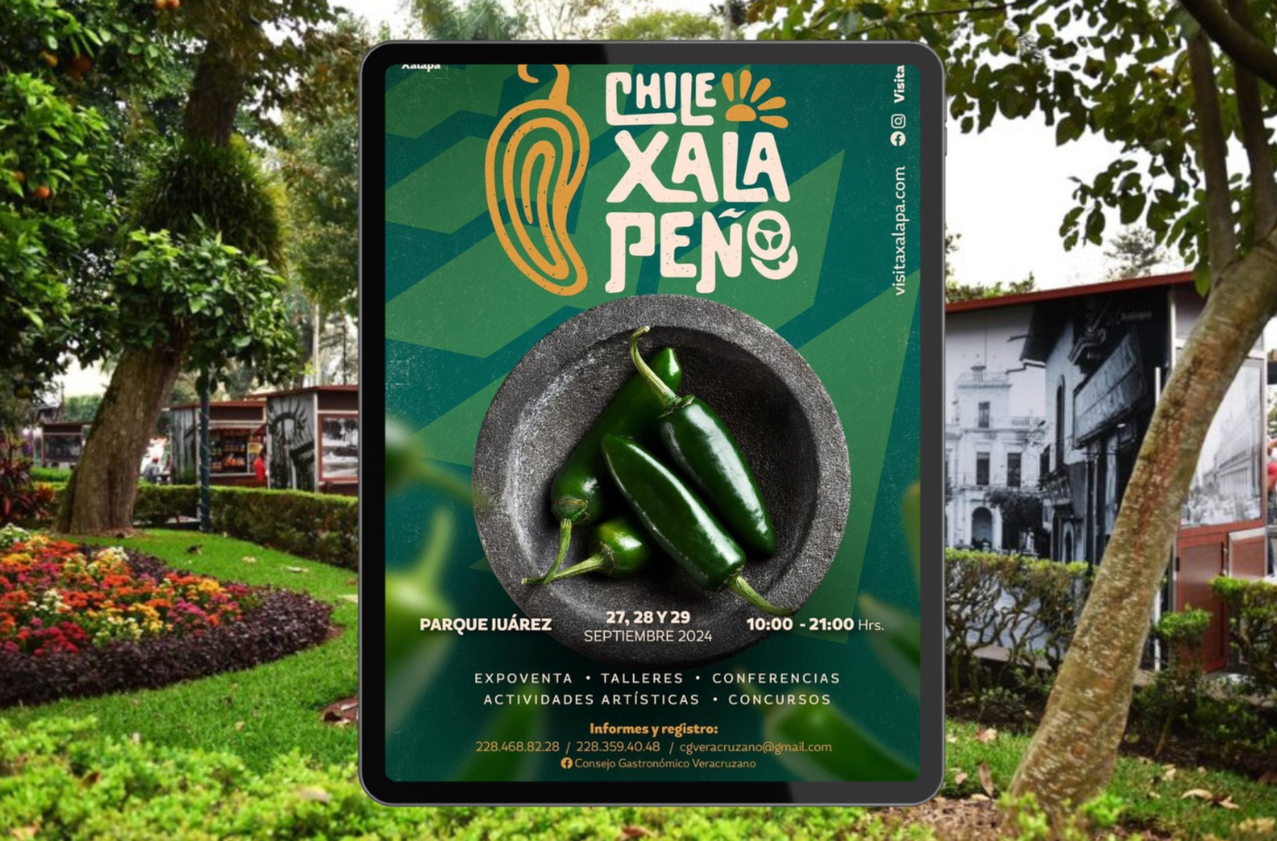 Cinco mil chiles xalapeños para elaborar el más grande del mundo en festival de parque Juárez