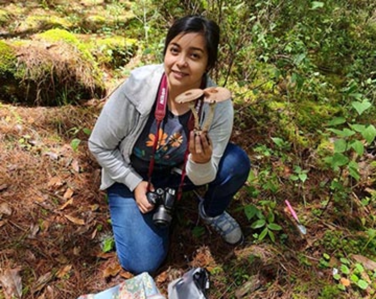 Egresada UV registró nueva especie de hongo del género Agaricus