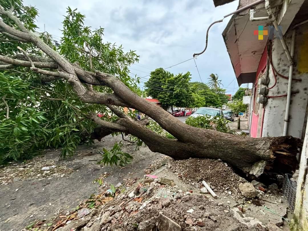 Frente frío 1 deja afectaciones en zona Veracruz-Boca del Río