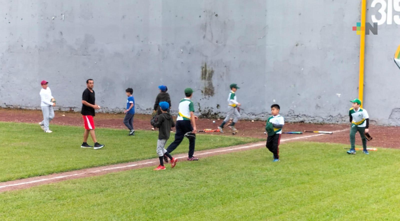 La Liga Infantil Xalapeña será sede del Torneo de Ligas Hermanas de Beisbol
