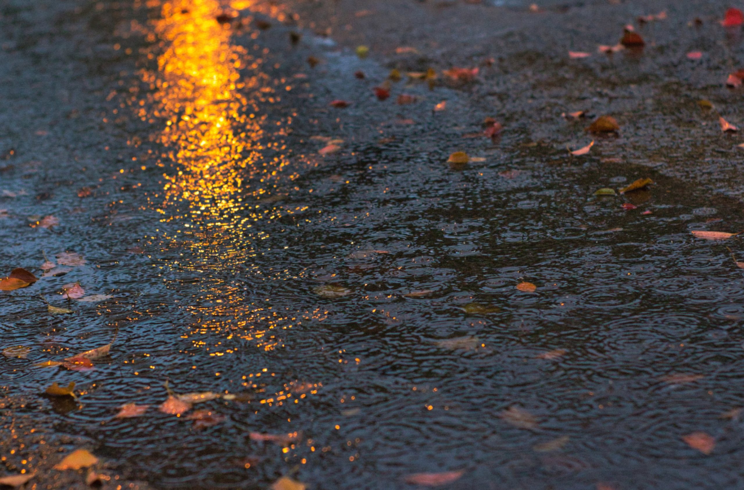 Días de calor diurno y lluvias tarde-noche; pueden aumentar precipitaciones por posible ciclón