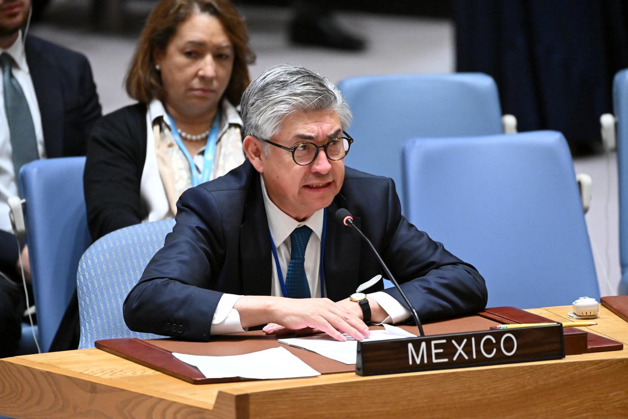 México participa en el Consejo de Seguridad de la ONU y en la reunión del G20