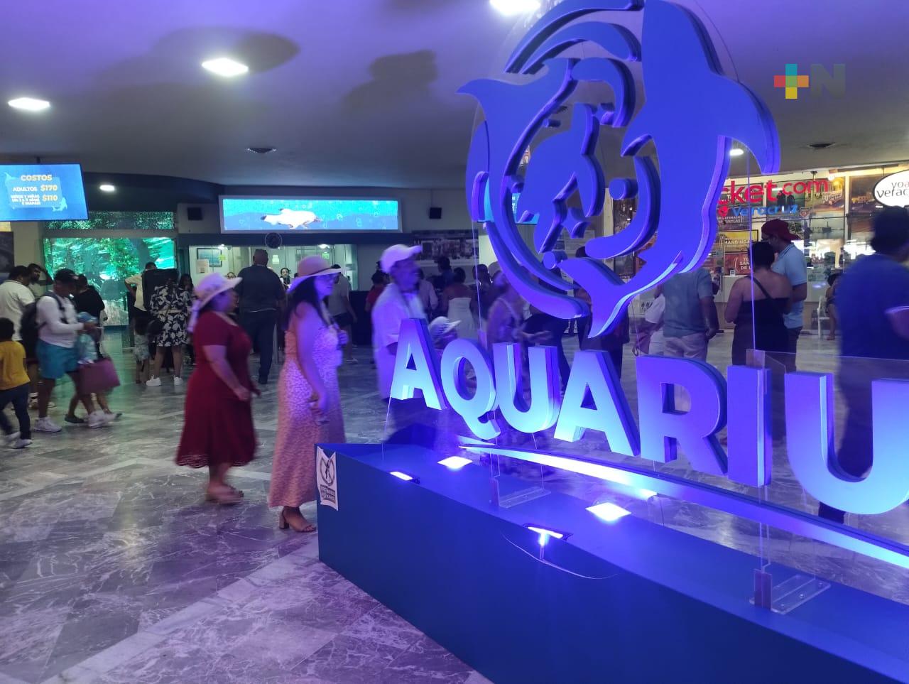 Más de tres mil visitantes diarios registra Plaza Acuario en este fin de semana largo