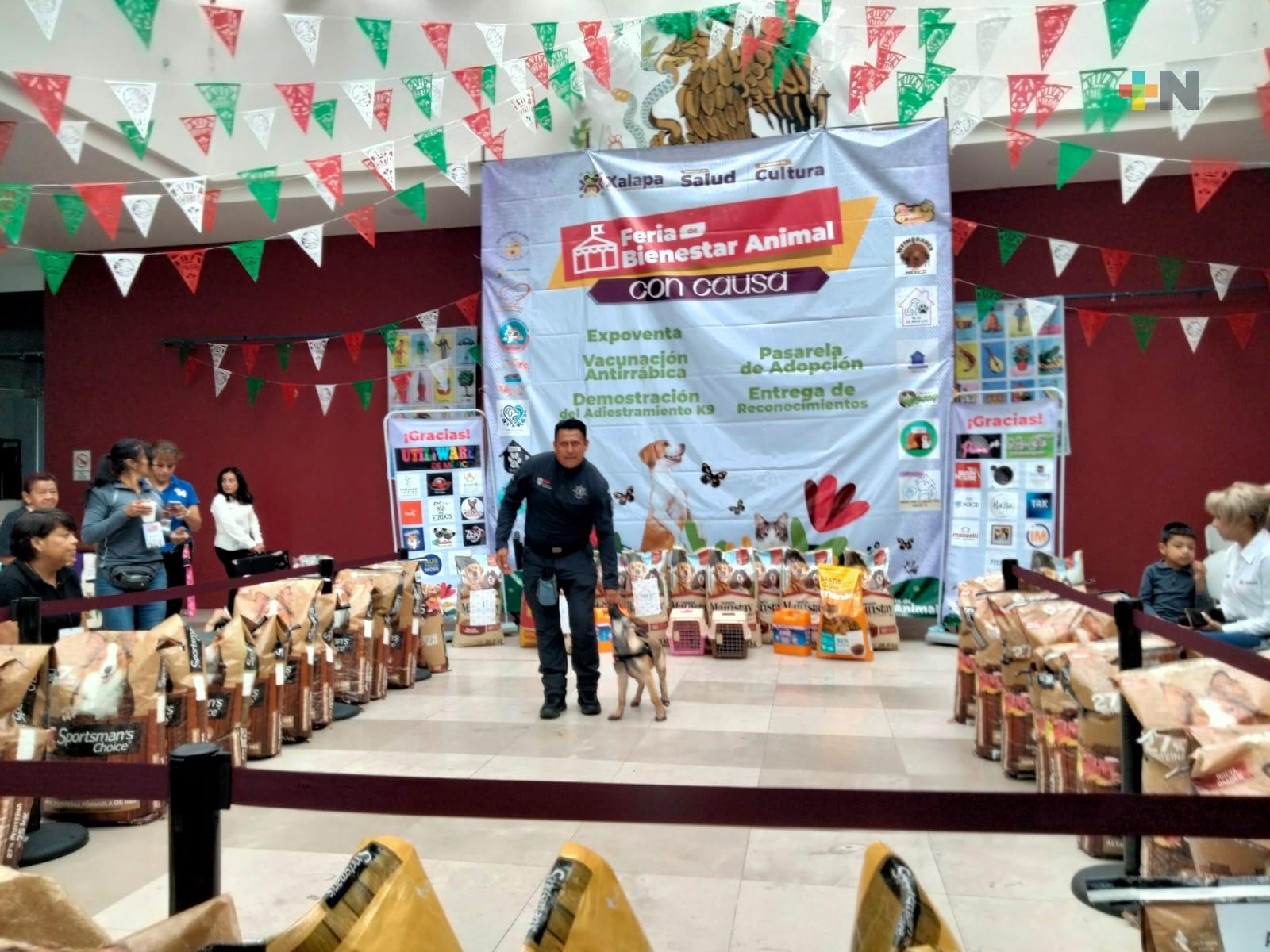 Realizan Feria del Bienestar Animal con causa en Xalapa
