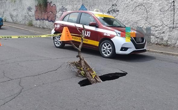 Temor por socavón en colonia Pocitos y Rivera de Veracruz puerto