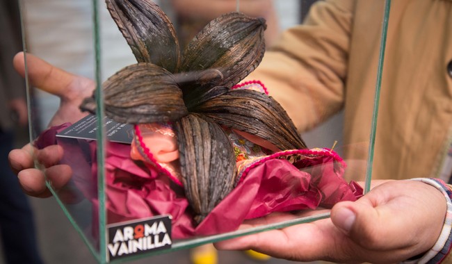 Declara Agricultura el 16 de diciembre de cada año como Día Nacional de la Vainilla