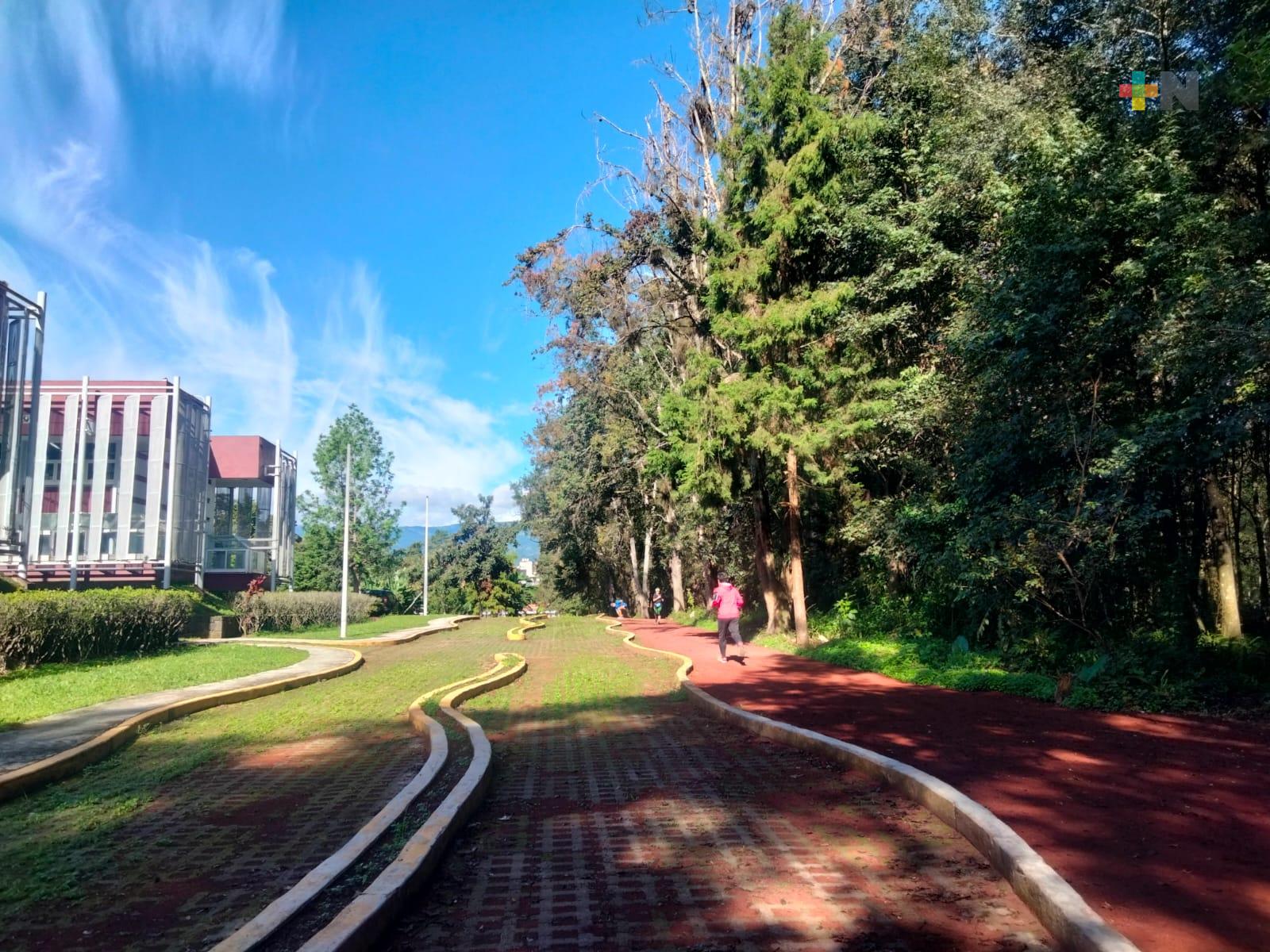 Vitapista de la Normal Veracruzana, nuevo espacio para correr con mascotas entre árboles