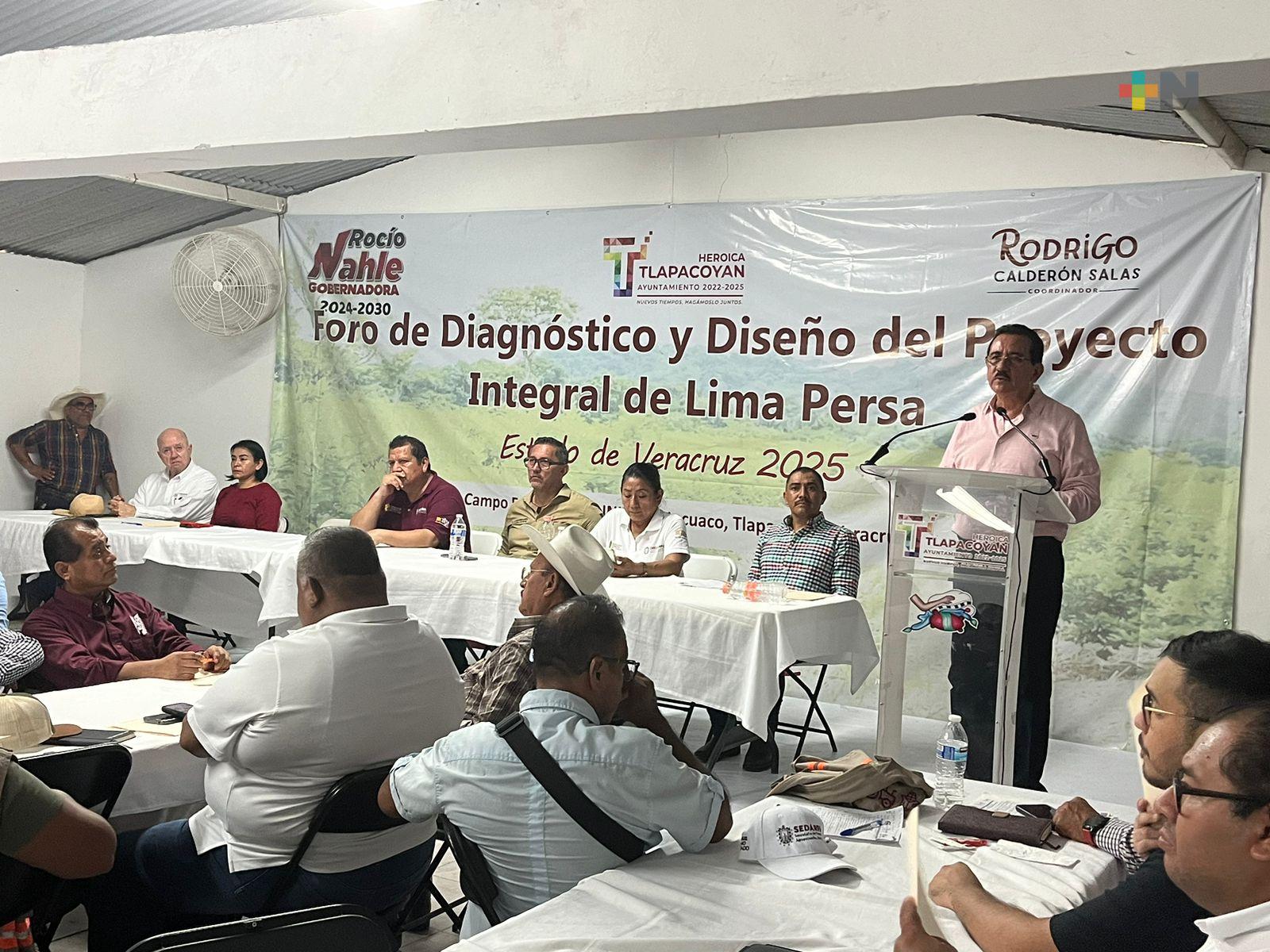 Realizan Foro de diagnóstico y diseño de proyecto de lima persa en Tlapacoyan