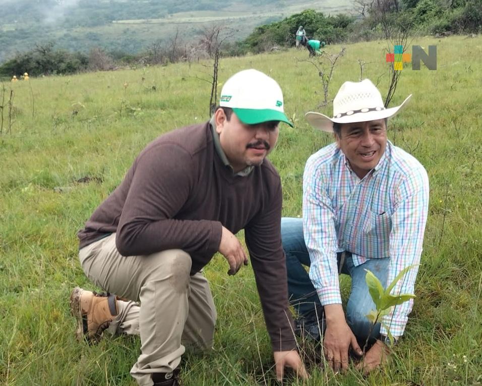 Avanza puntual y en orden la transición de Segob: Carlos Juárez