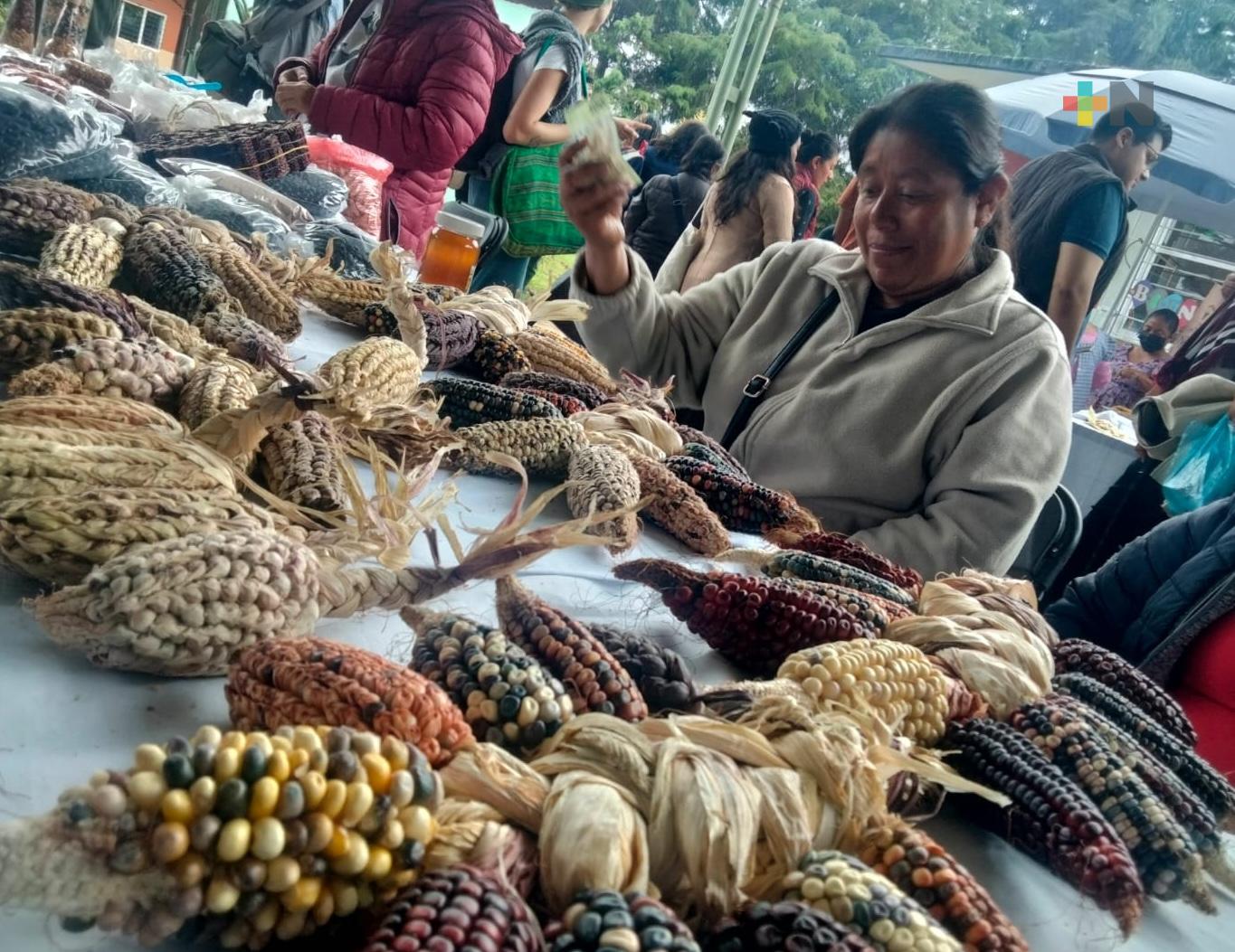 Realizan la décima Feria de la Milpa en Tlalnelhuayocan