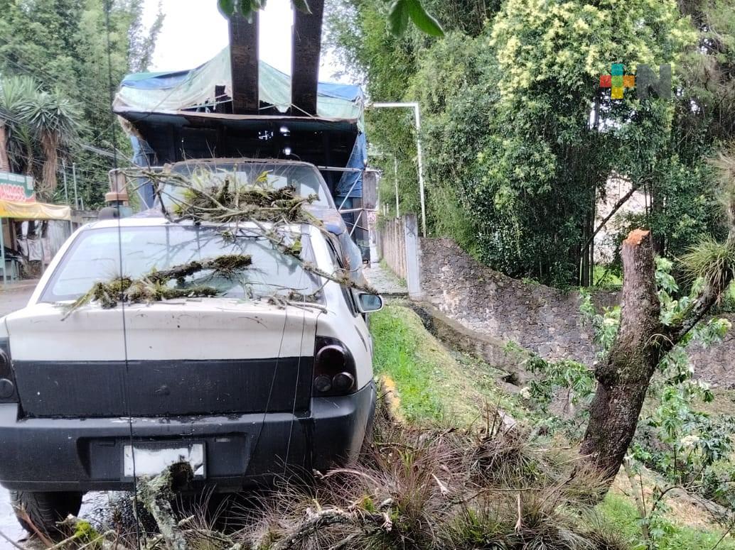 Póliza de seguro de automóvil debe contemplar riesgos de la naturaleza