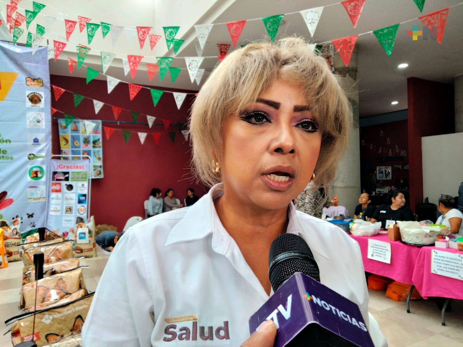 Más de 280 casos de dengue se han registrado en Xalapa