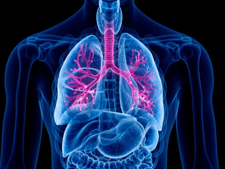 México, uno de los primeros países en autorizar tratamiento para fibrosis quística