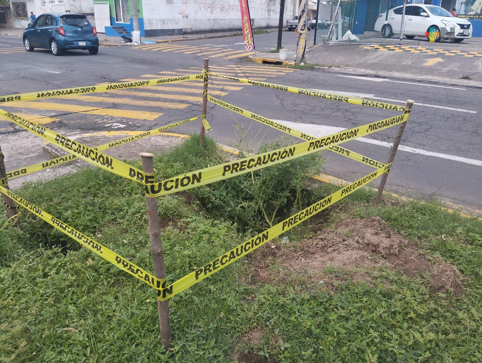 Denunciaron hundimiento en camellón de la avenida Cristóbal Colón de Veracruz puerto