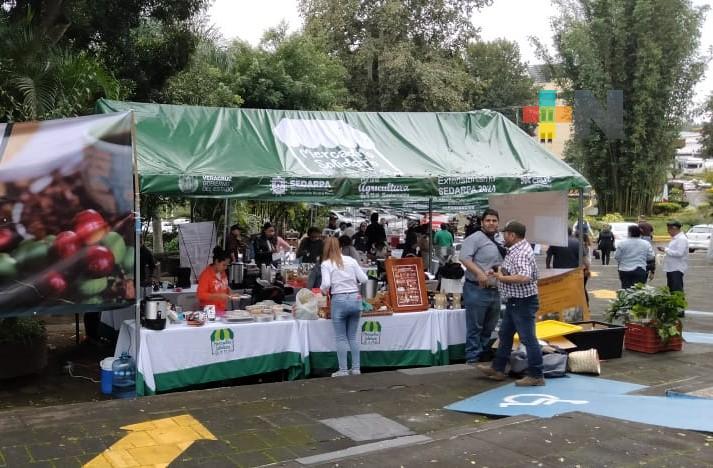 Inician jornadas para promocionar el consumo de café veracruzano