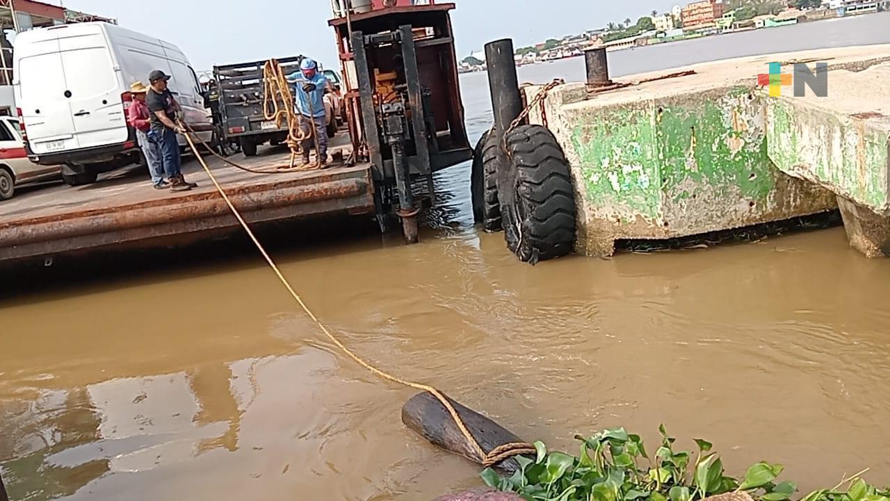 Aparece más lirio acuático cubierto de aceite en muelles de Coatzacoalcos