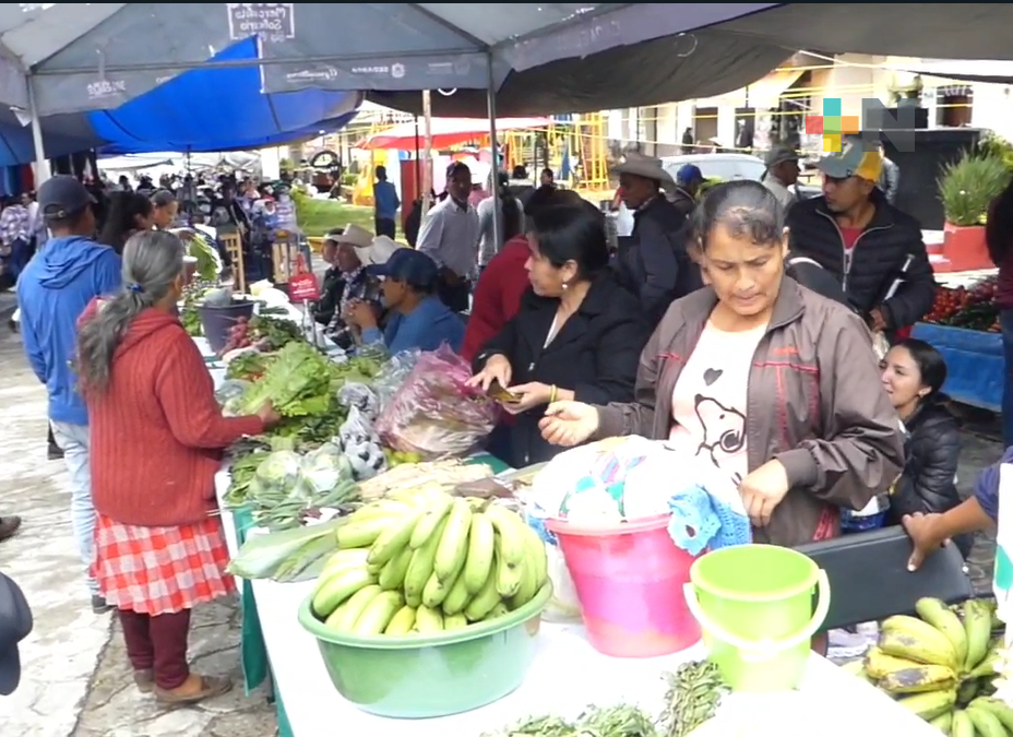 Sedarpa lleva a cabo mercadito con productos agroecológicos en Zacualpan