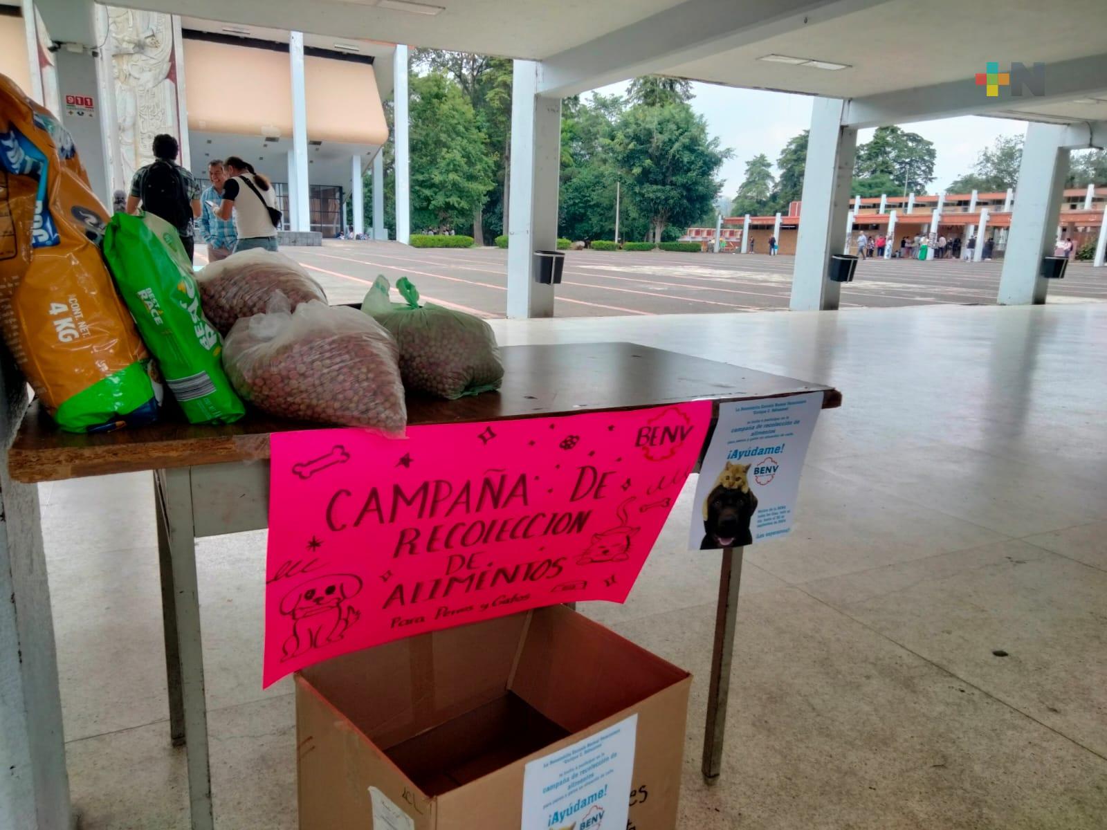 Normal Veracruzana invita a donar alimento para perros y gatos en situación de calle