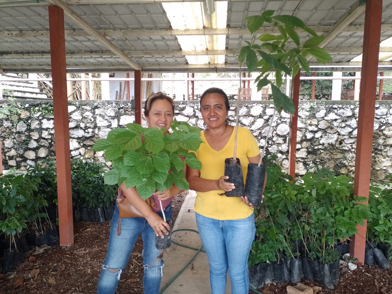 Córdoba impulsa el desarrollo con entrega de semillas y árboles