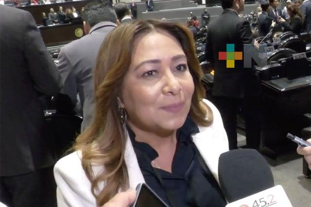 Diputada pide establecer puente aéreo para enviar ayuda a los afectados en Guerrero por el huracán «John»