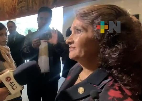 Dolores Padierna respalda estrategia de seguridad anunciada por la presidenta Claudia Sheinbaum