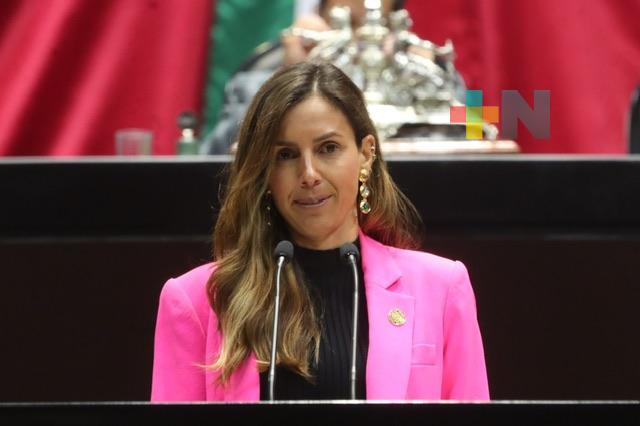 Solicitan incluir la “tentativa de feminicidio” entre delitos que ameritan prisión preventiva oficiosa