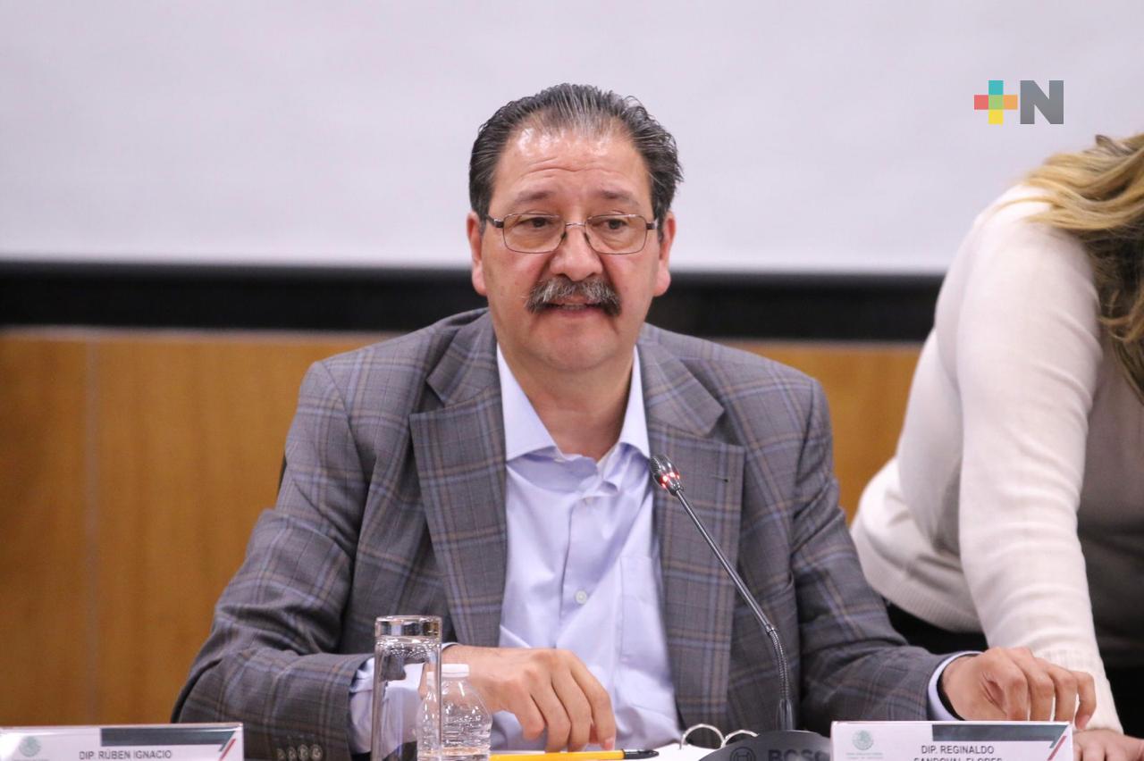 Absurdo que la SCJN pretenda destituir a la presidenta de la República y al Poder Legislativo: Reginaldo Sandoval