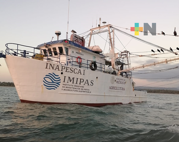 Estudiante de la UV evaluó impacto de redes camaroneras en especies marinas