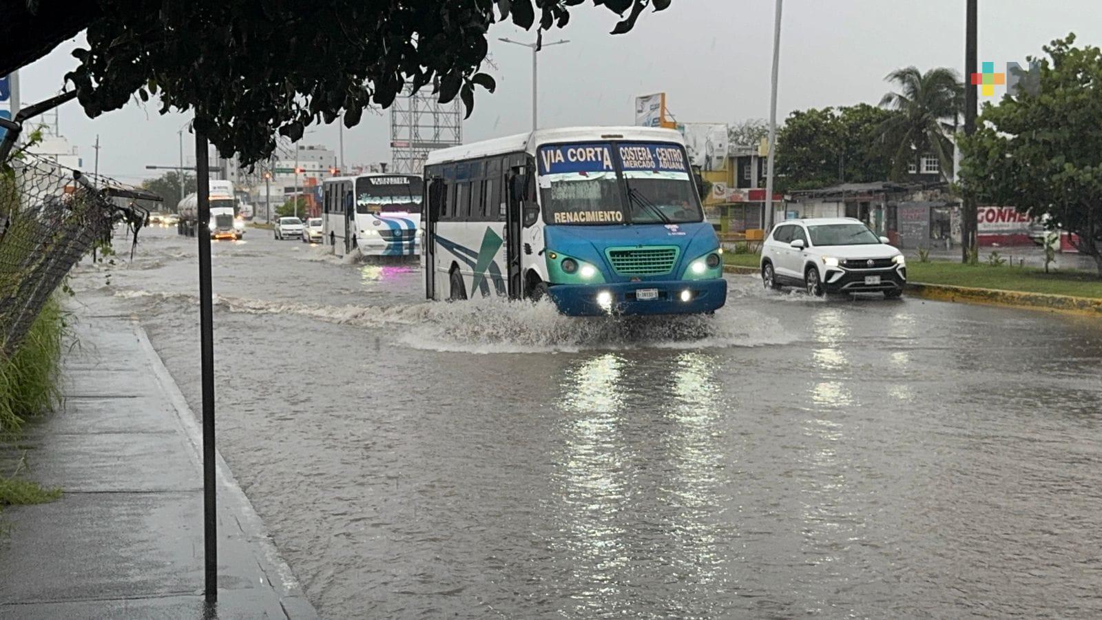Ciudadanía de Veracruz puerto reporta que el servicio urbano reanudó actividades