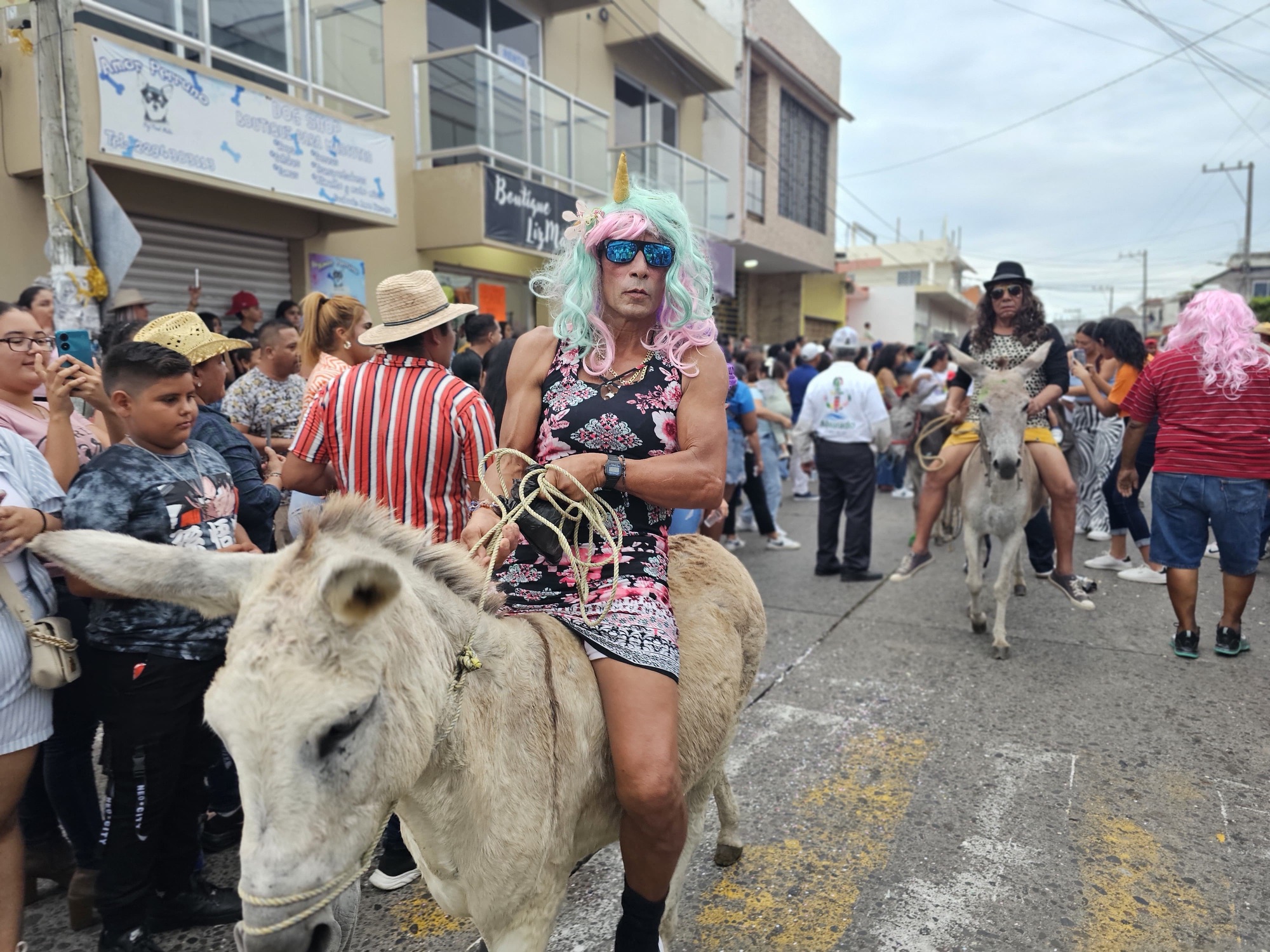 Realizan edición 134 del “Encierro de burros” en Alvarado