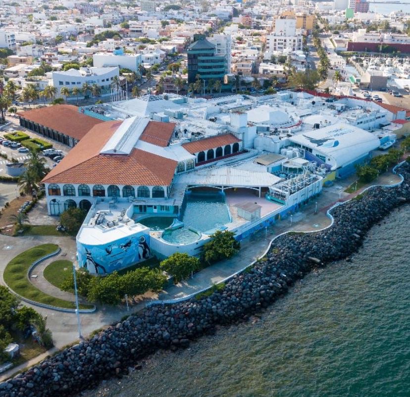 Rachas de viento causaron colapso de estructura de madera en Plaza Aquarium: PMA