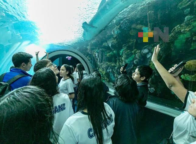 Continúan los martes gratis en Aquarium del Puerto de Veracruz