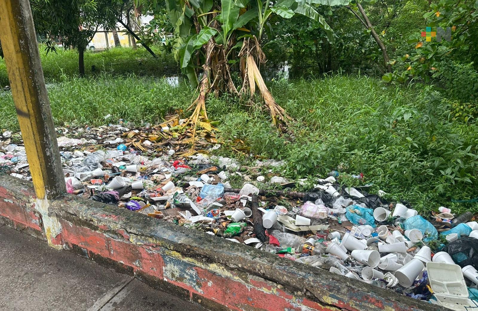 Convierten área verde de Coatzacoalcos en basurero clandestino