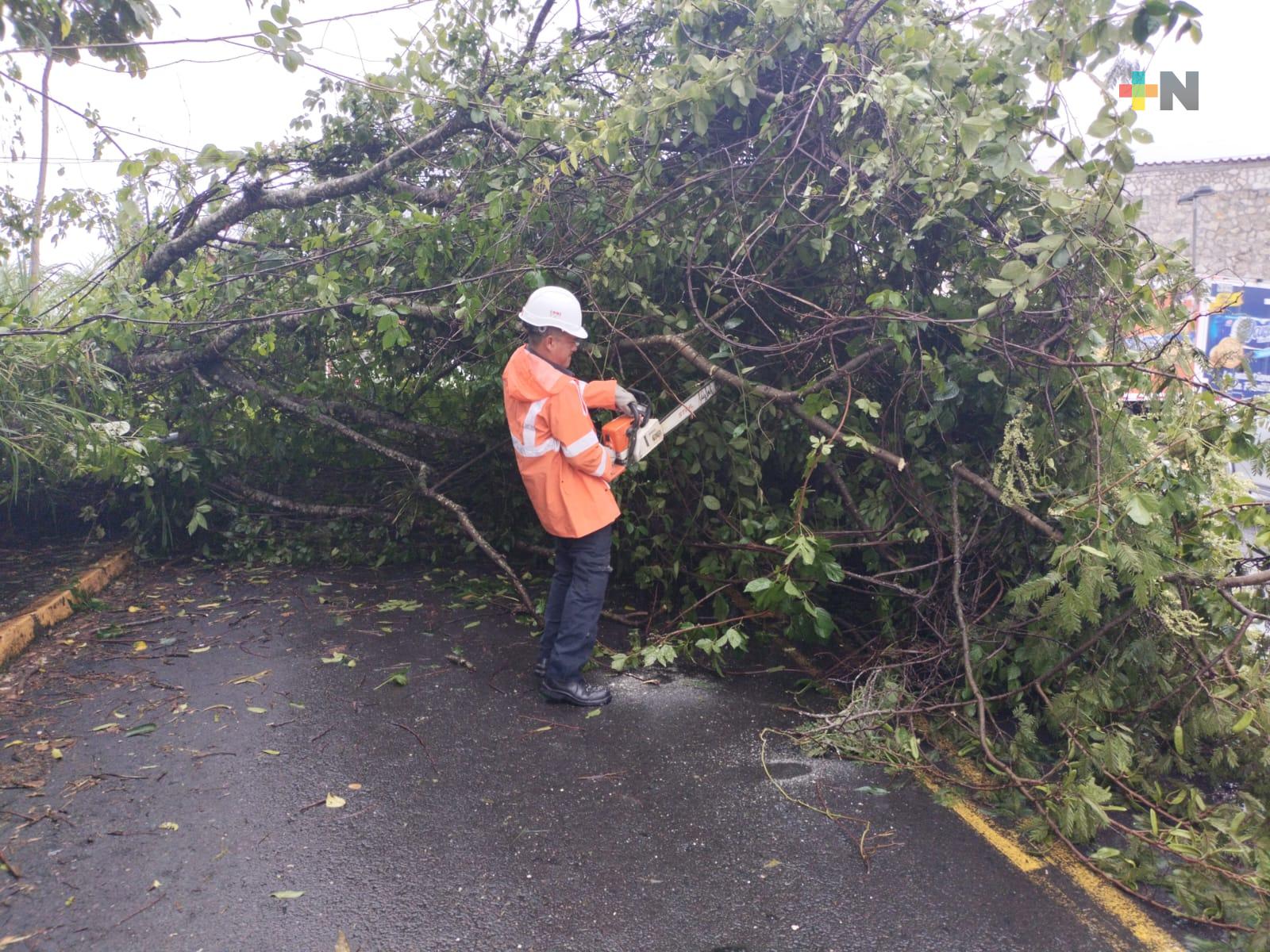 Inundaciones, deslaves y cierre de carreteras en zona centro de Veracruz