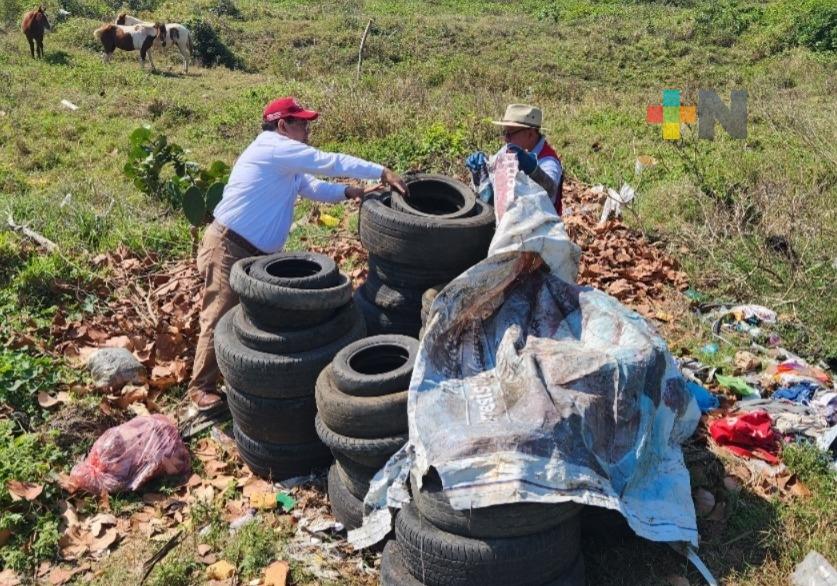 En Coatzacoalcos eliminan 180 toneladas de criaderos y 160 toneladas de llantas