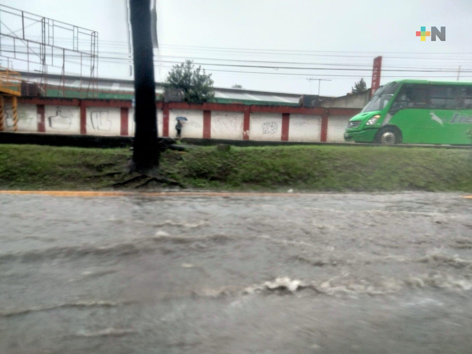 En Xalapa, afectaciones menores por lluvias, sólo encharcamientos en ciertas zonas