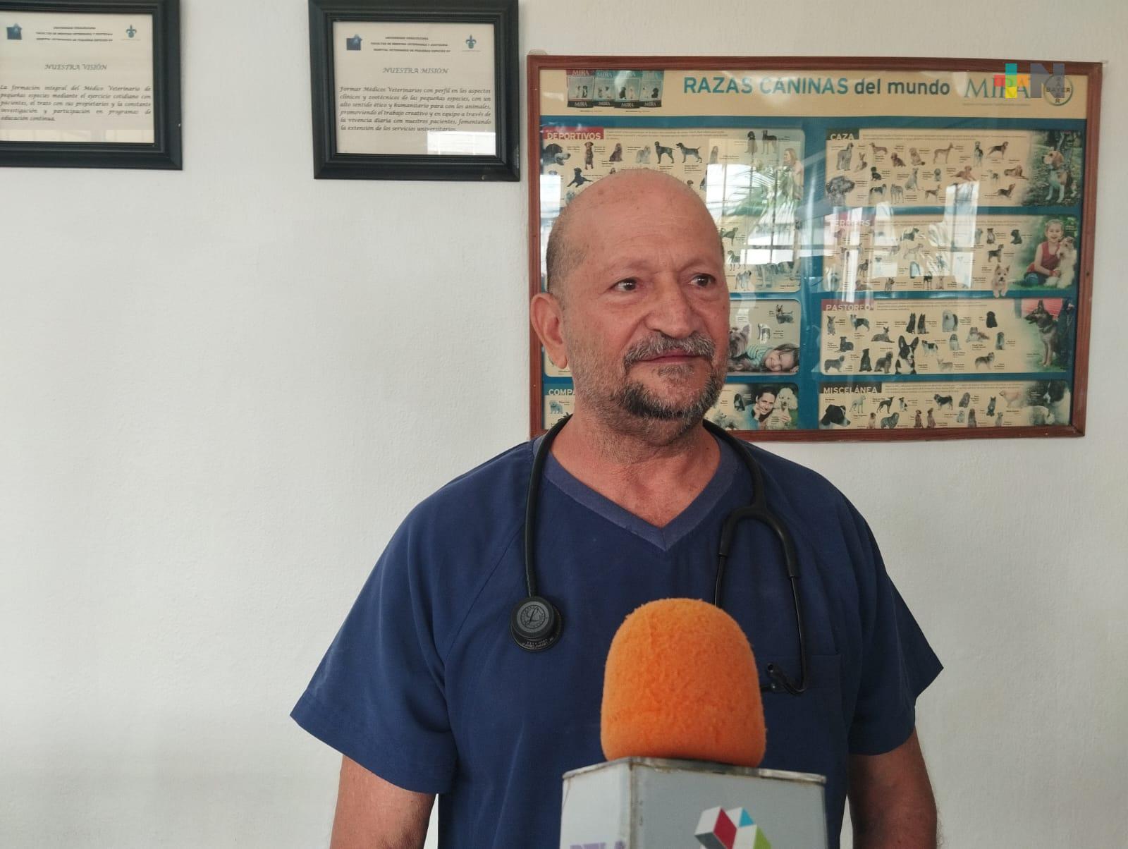 Proliferación de garrapatas incrementa en temporada de lluvias