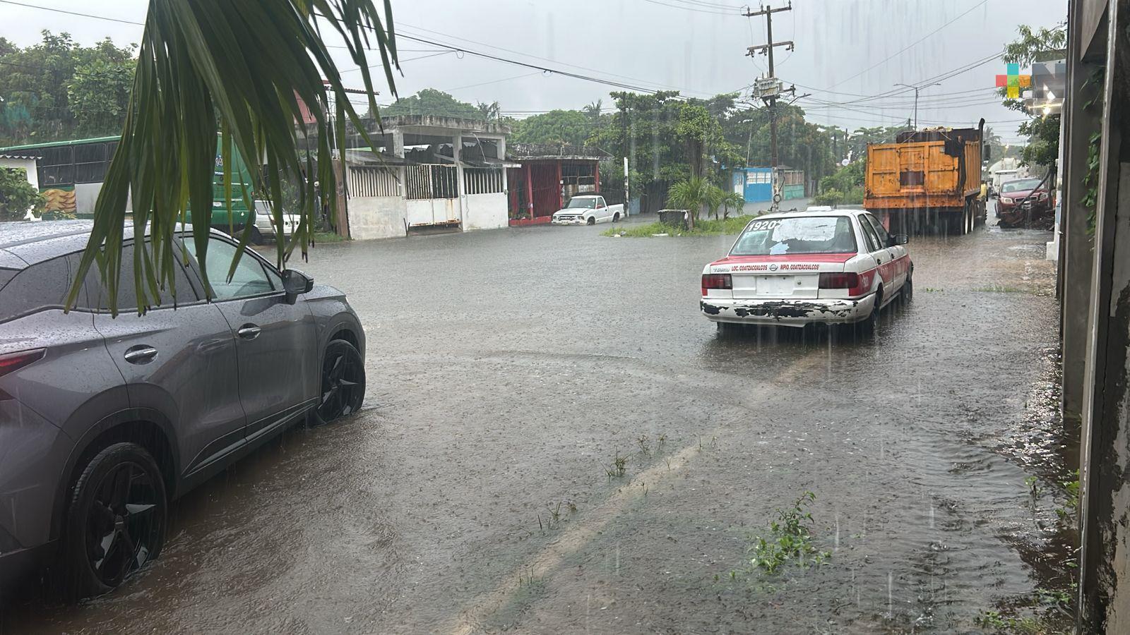 Son 20 municipios veracruzanos afectados por depresión tropical: SPC