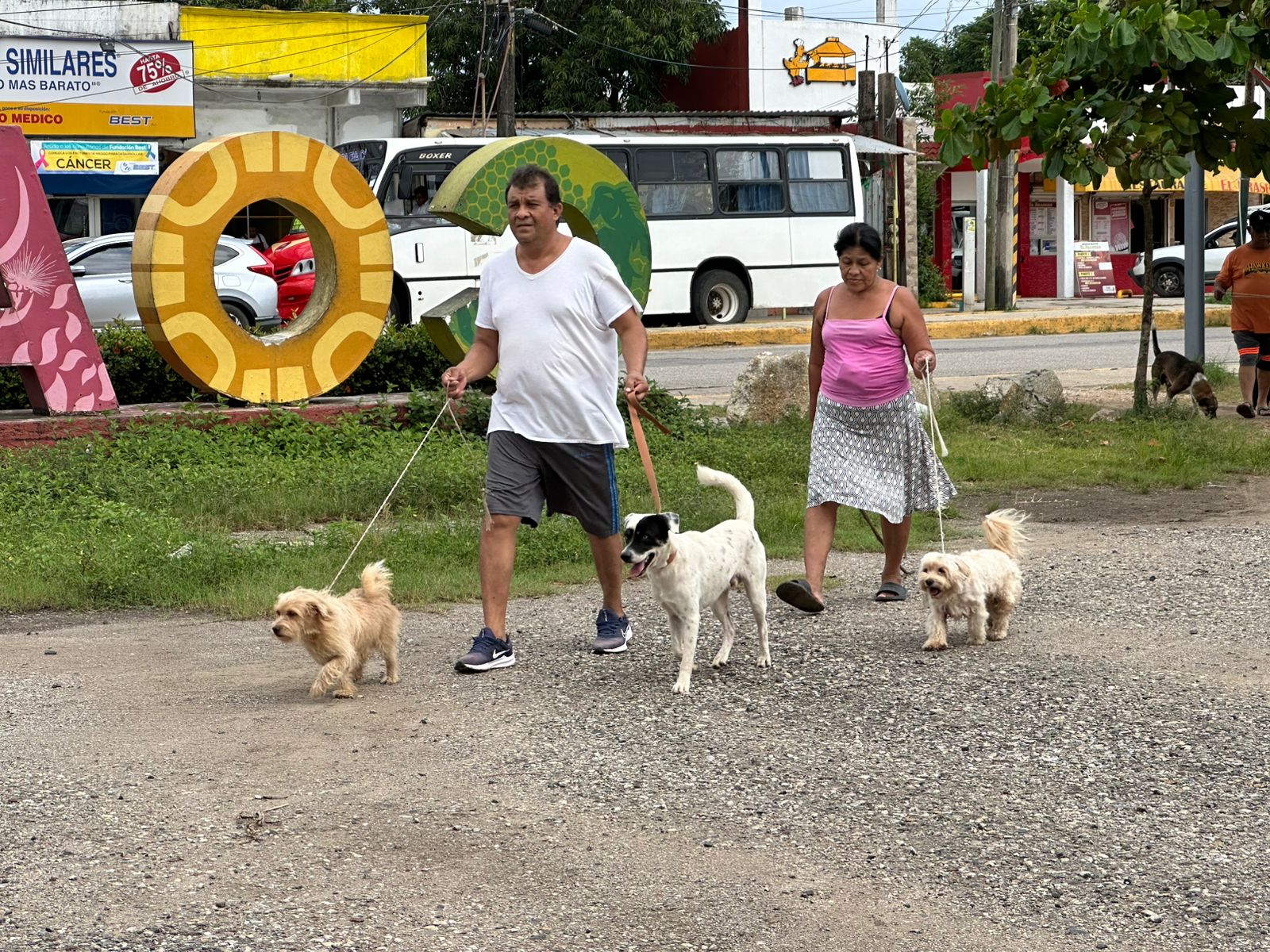 Salud municipal recomienda no dejar solas a mascotas; necesitan alimento y compañía