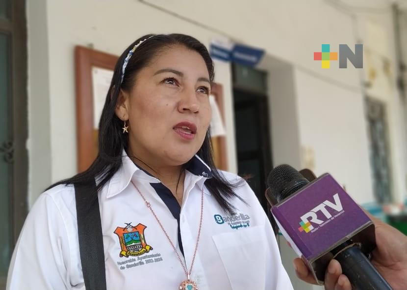 Para evitar riesgos, realizan poda de árboles en planteles escolares de Banderilla