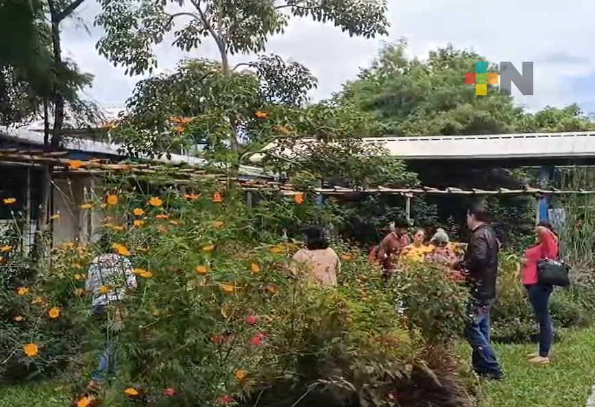 Realizan Simposio internacional de Jardines para Polinizadores en Córdoba